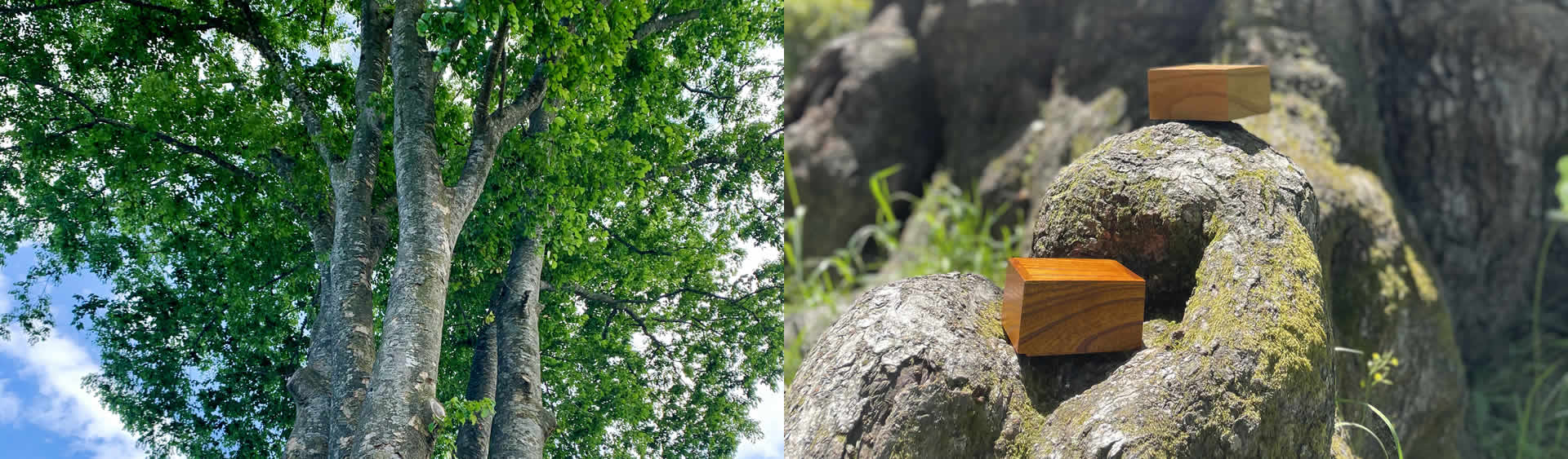 株式会社エピログ Temoto｜仙台・宮城の遺品整理・手元葬・樹木葬・海洋葬・永代供養